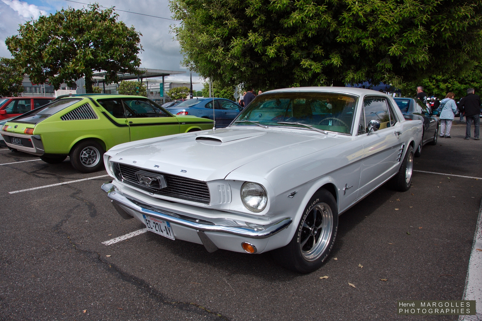Ford Mustang -02.jpg